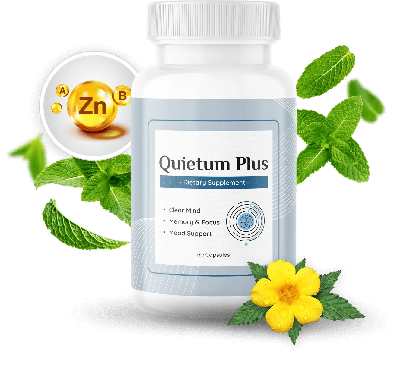 Quietum Plus 